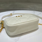 Christian Dior Small Dior Caro Top Handle Camera Bag